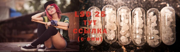 spice Покров
