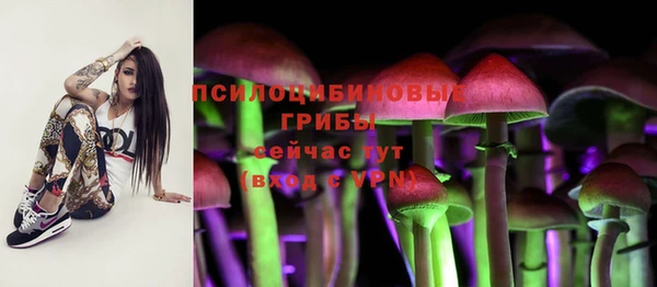 spice Покров